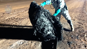 Watch: Suspected burning space junk found by mine workers in Australia
